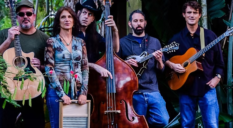 Baygrass bluegrass Festival