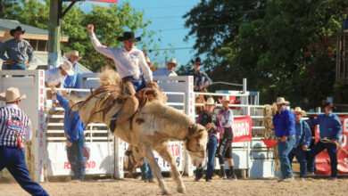 Homestead Championship Rodeo
