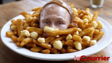 Donald Trump décide de mettre des droits de douane à 19% sur les ingrédients servant à fabriquer  la poutine