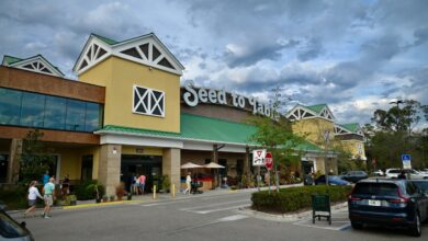 Seed to Table à Naples : Une Expérience Culinaire et Festive