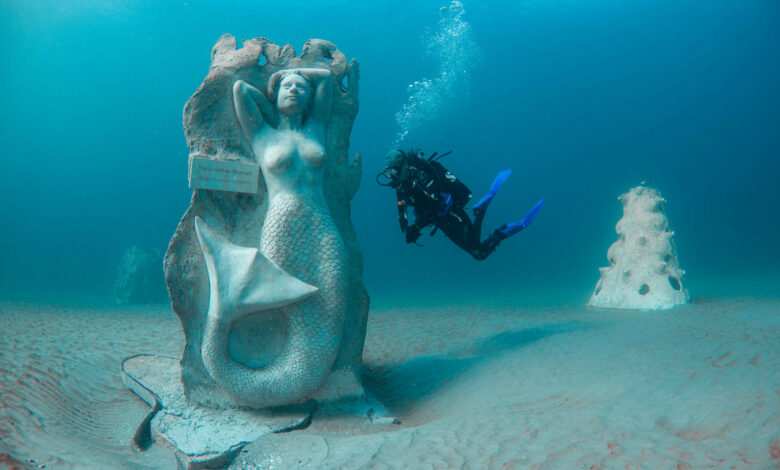 1000 Mermaids : l'un des projets déjà débuté, à Hollywood