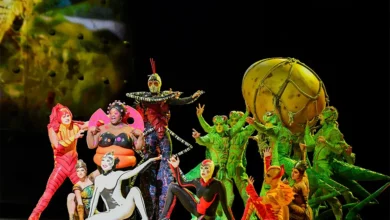 Le Cirque du Soleil déploie ses ailes à Miami et Sunrise avec OVO : un voyage acrobatique au cœur du monde des insectes.