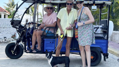 Offrez-vous un hiver de rêve à Punta Cana, avec Cap Punta Conseil !