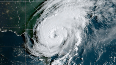 Plutôt Chantal, Sébastien ou Gabrielle ? Voici les noms des ouragans de la saison 2025 !!