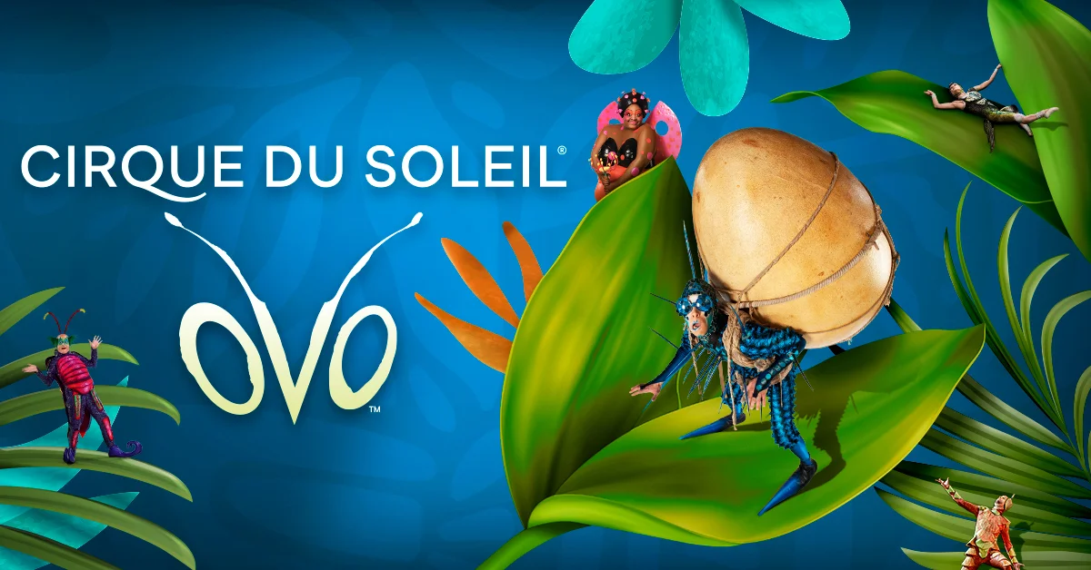 Le Cirque du Soleil déploie ses ailes à Miami et Sunrise avec OVO : un voyage acrobatique au cœur du monde des insectes