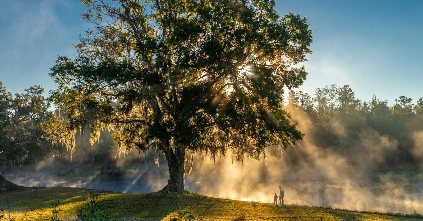Golf Cabot Citrus Farms — Brooksville