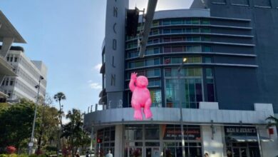 Philippe Katerine fait s’envoler « Monsieur Rose » à Miami Beach