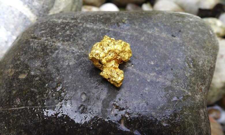 Une nouvelle ruée vers l’or dans l’Ouest américain : entre opportunisme économique et inquiétudes environnementales.