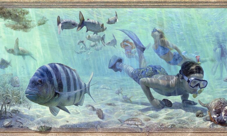 Christopher Still : Chroniqueur pictural de la Floride