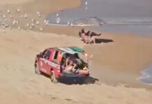 Un Québécois meurt noyé en Floride : les images tragiques de la tentative de sauvetage