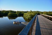 La Gordon River Greenway : une parenthèse de Floride sauvage au cœur de Naples