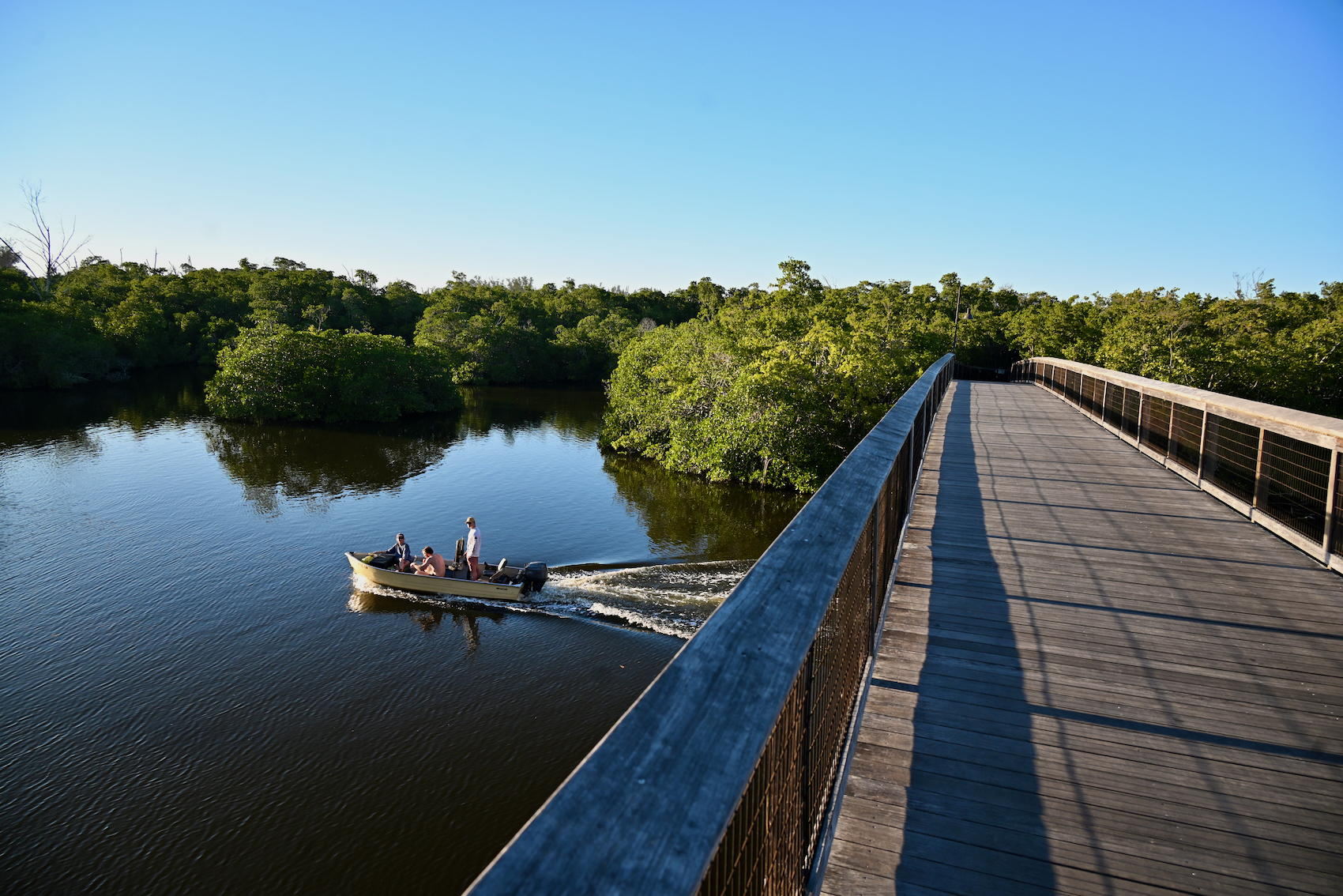 La Gordon River Greenway : une parenthèse de Floride sauvage au cœur de Naples