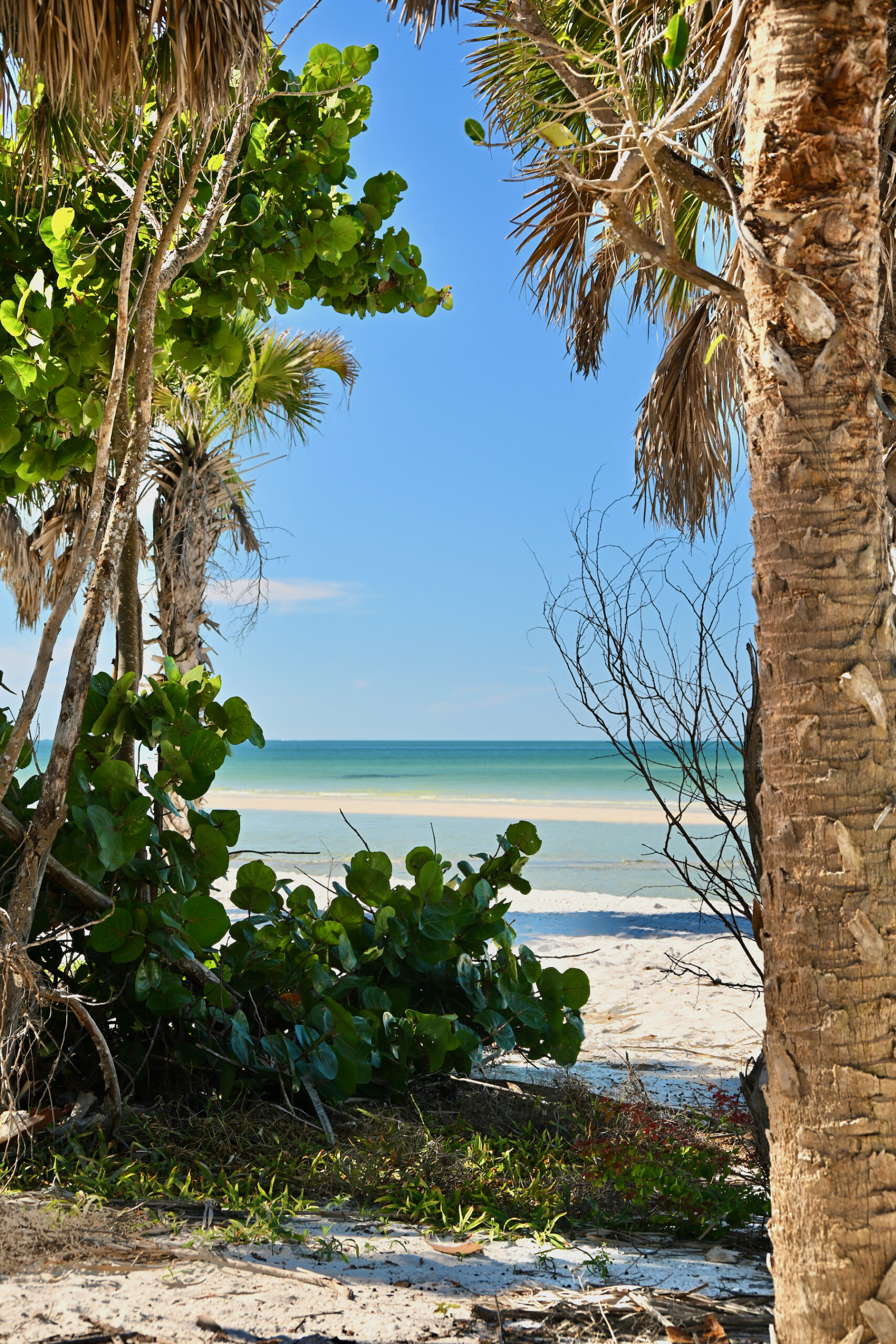 La plage de Delnor Wiggins Pass State Park, à Naples en Floride