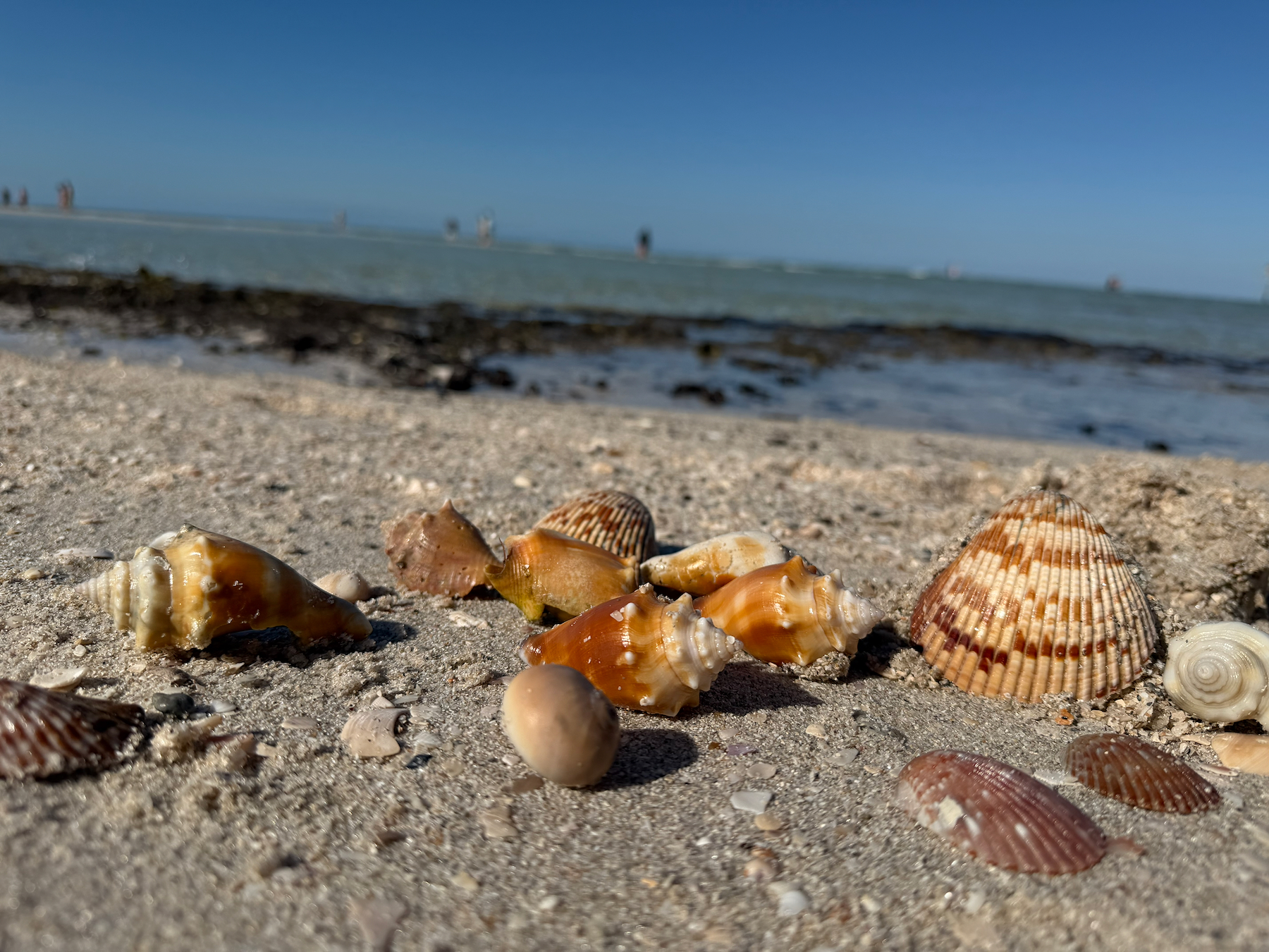 La plage de Delnor Wiggins Pass State Park, à Naples en Floride