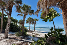 La plage de Delnor Wiggins (Naples) est-elle toujours la plus belle de Sud Floride 3 ans après l'ouragan Ian ? Notre réponse !