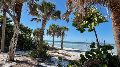 La plage de Delnor Wiggins (Naples) est-elle toujours la plus belle de Sud Floride 3 ans après l'ouragan Ian ? Notre réponse !