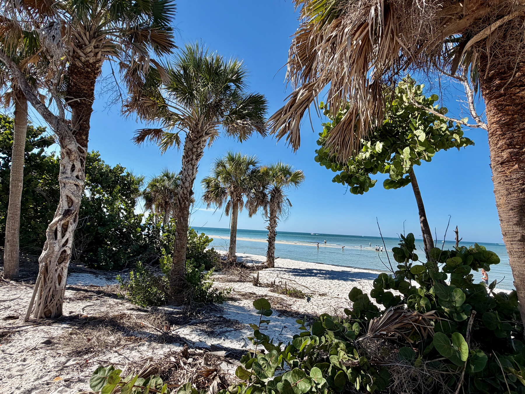 La plage de Delnor Wiggins (Naples) est-elle toujours la plus belle de Sud Floride 3 ans après l'ouragan Ian ? Notre réponse !