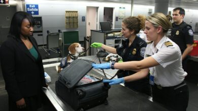 Entrée aux États-Unis : les réseaux sociaux désormais obligatoires dans la demande ESTA