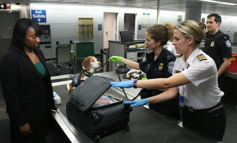 Entrée aux États-Unis : les réseaux sociaux désormais obligatoires dans la demande ESTA