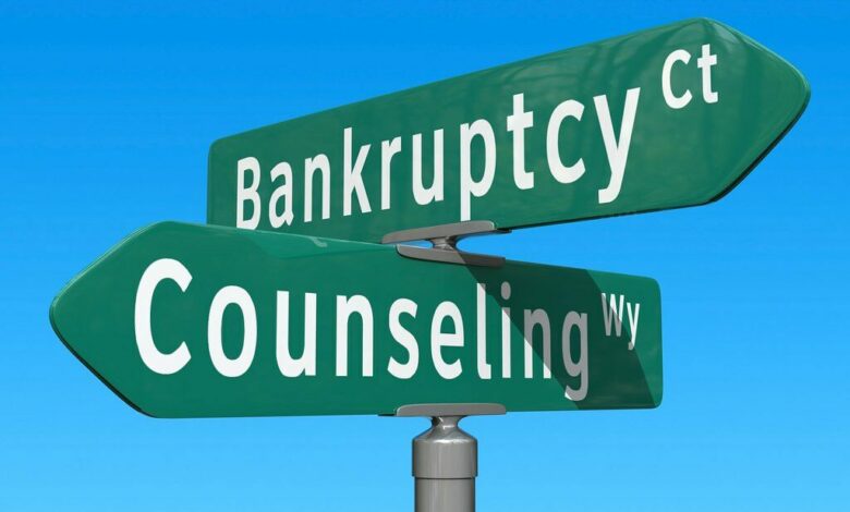 La Faillite aux USA : Une Panacée pour le Surendettement ? (la Chronique Droits aux USA de Me David S. Willig)