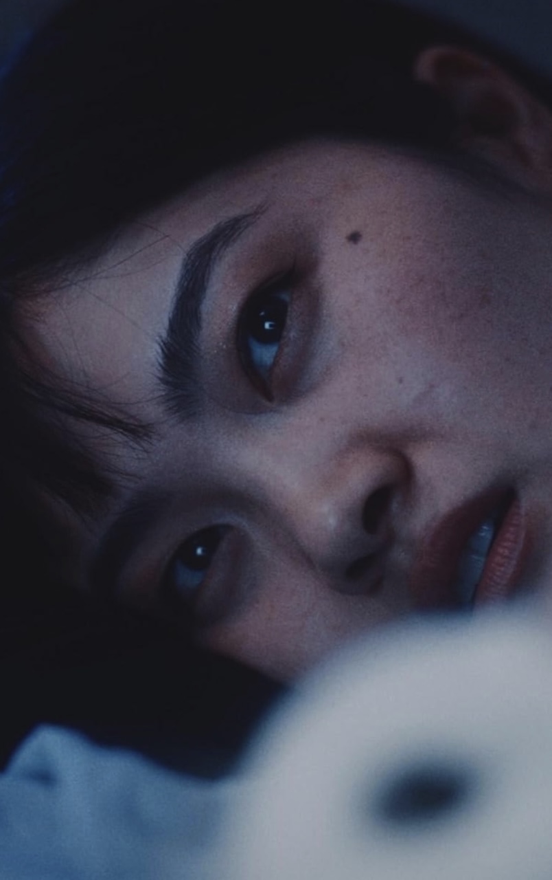 Affiche film Bunnylovr