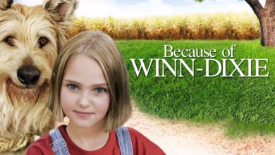 Because of Winn‑Dixie — un livre et un film qui font découvrir la Floride aux enfants (en français et en anglais)