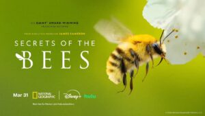 Secrets Of The Bees
