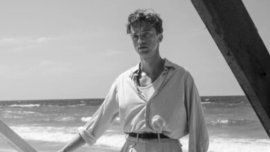 The Stranger : une adaptation saluée d'Albert Camus bientôt à découvrir aux États-Unis